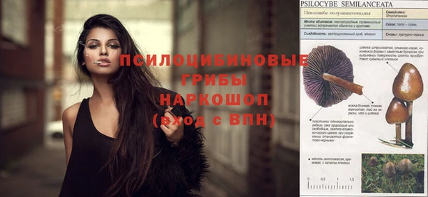 героин Сатка